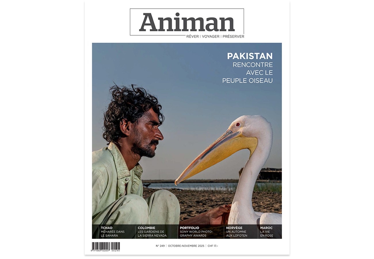 Animan Magazine, October 2025