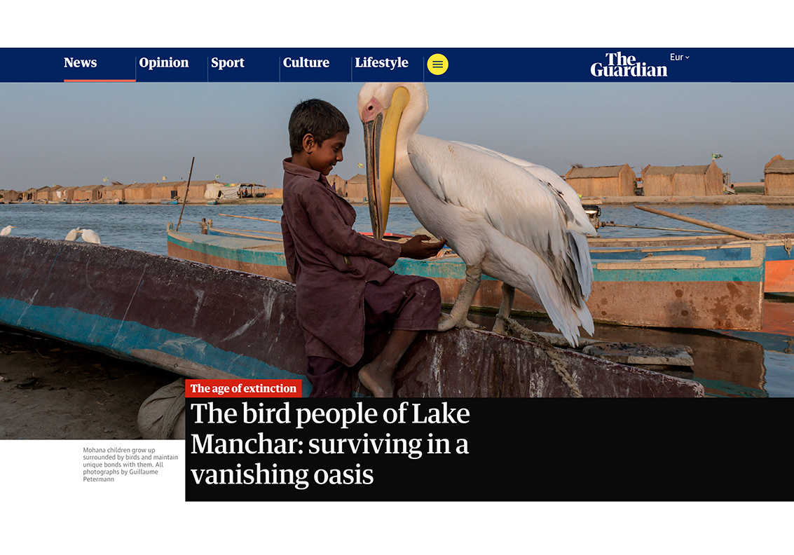 The Guardian (Online), November 2025