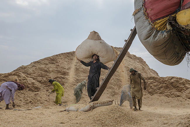 People Guillaume Petermann
