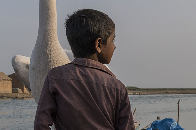From a young age, Mohana children grow up surrounded by birds. Known as “the people of the  birds,” they maintain unique bonds with these species.