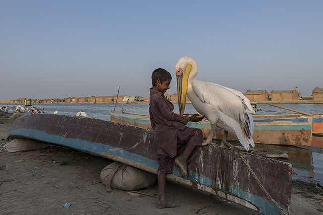 From a young age, Mohana children grow up surrounded by birds. Known as “the people of the birds,” they maintain unique bonds with these species. Today, as they learn other languages, other trades, other dreams, their culture slowly fades, and with it, their way of life.