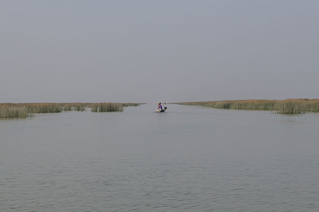 A traditional boat glides through the reeds of Lake Manchar. Silent, it seems to float between two worlds: that of yesterday and the one struggling to survive today.