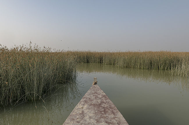 A Hurro, the traditional canoe of the Mohana, slowly cuts through the waters of Lake Manchar.