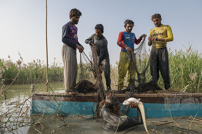 A group of Mohana fishermen fold their nets. Each catch has become so rare that they no longer hesitate to fish during the breeding season, endangering the lake’s fish resources.