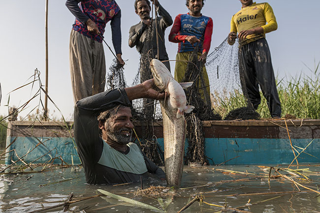 A group of Mohana fishermen fold their nets after a session. Faced with the dwindling fish population, even catches full of eggs are no longer spared. Immediate survival outweighs the preservation of tomorrow.