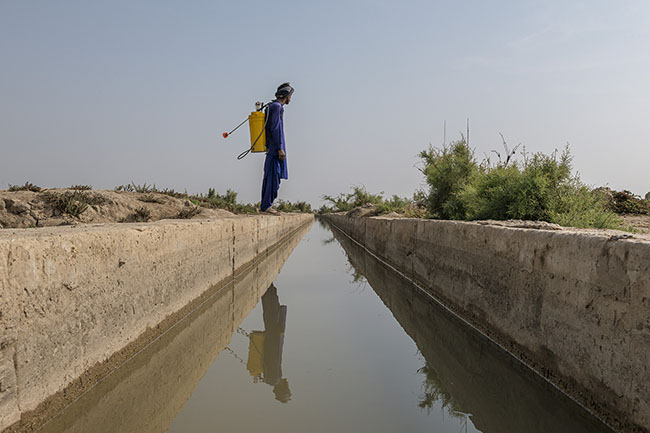 In front of an irrigation canal, a farm worker carries a pesticide sprayer.