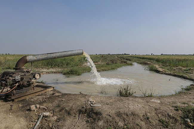 Illegal water pumping from an irrigation canal. Using their political influence, the large landowners who rule over the agricultural plains of Sindh have gradually taken control of the irrigation service, manipulating existing laws to divert more water to their lands, drastically reducing the flow of freshwater reaching Lake Manchar.
