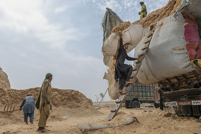 Balancing precariously on a makeshift ladder, the workers carry bale after bale of wheat straw up into the trucks. Every move counts, every step is measured.