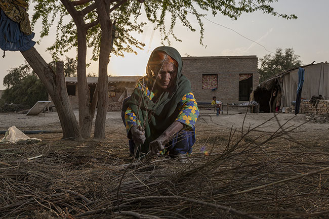 In villages on the banks of the Indus, the Mohana who left Lake Manchar try to survive, settled and often impoverished. Azra, 62 years old, now spends her days weaving wooden panels to insulate roofs. Once a fisherwoman on the lake, she now lives on dry land.