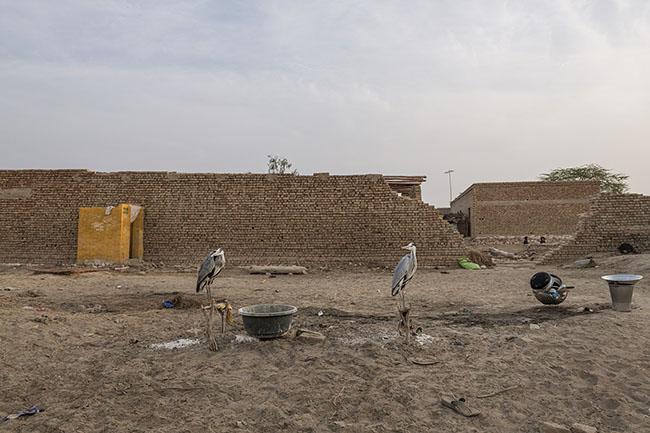 In the scattered Mohana hamlets along the Indus River, the birds are still there, like remnants of a world slowly sinking. On solid ground, the water people watch their culture inevitably fade away, fragment by fragment, like a fresco peeling off.