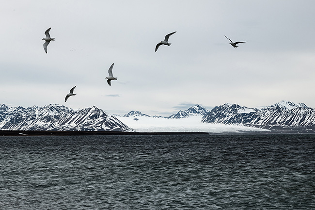 Svalbard - Arctic - 2024