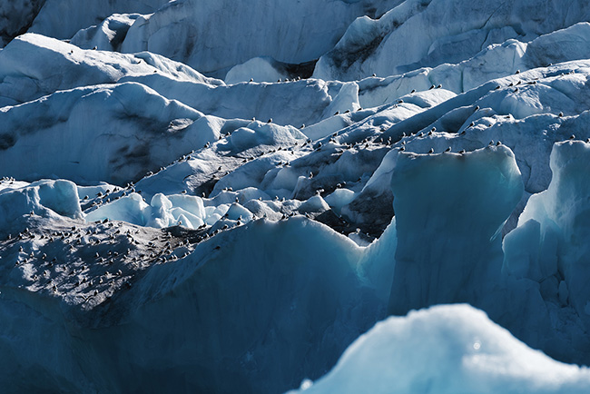 Svalbard - Arctic - 2024