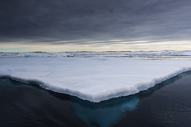 Svalbard - Arctic - 2024
