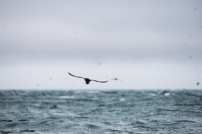 Svalbard - Arctic - 2024