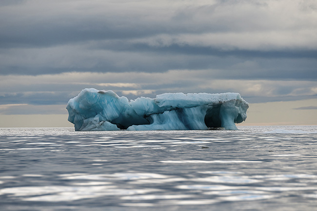Svalbard - Arctic - 2024