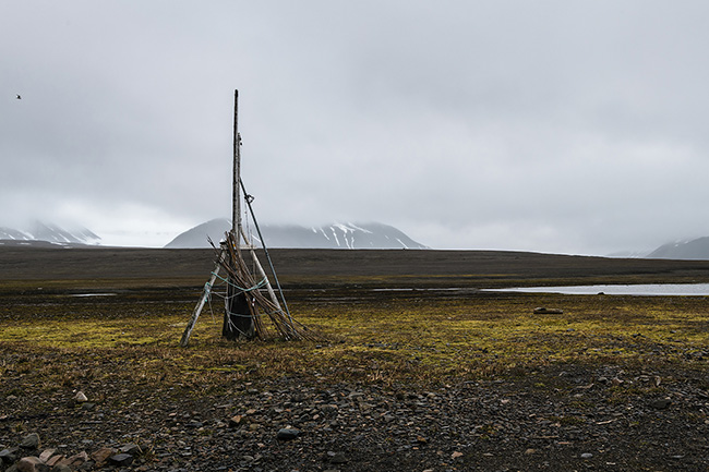 Svalbard - Arctic - 2024