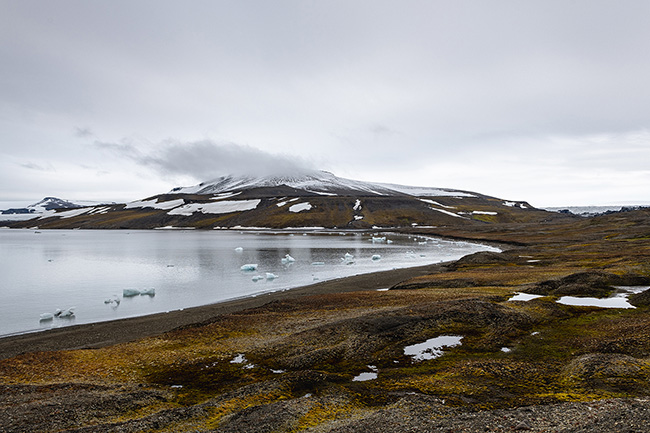 Svalbard - Arctic - 2024