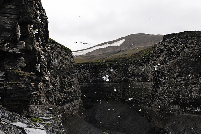 Svalbard - Arctic - 2024