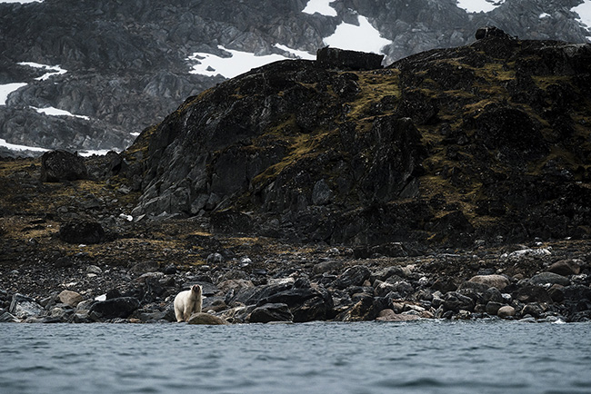 Svalbard - Arctic - 2024