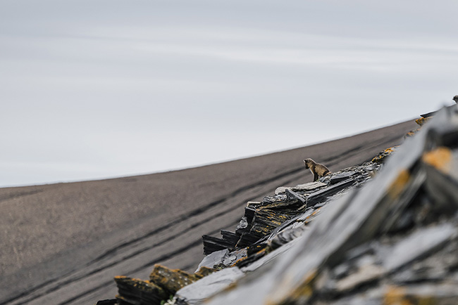 Svalbard - Arctic - 2024