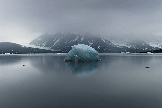 Svalbard - Arctic - 2024