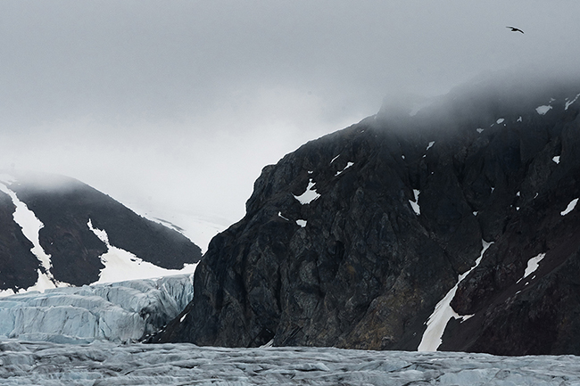 Svalbard - Arctic - 2024