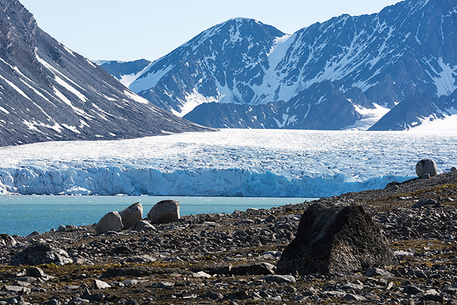 Svalbard - Arctic - 2024