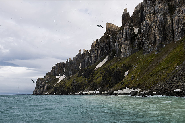 Svalbard - Arctic - 2024