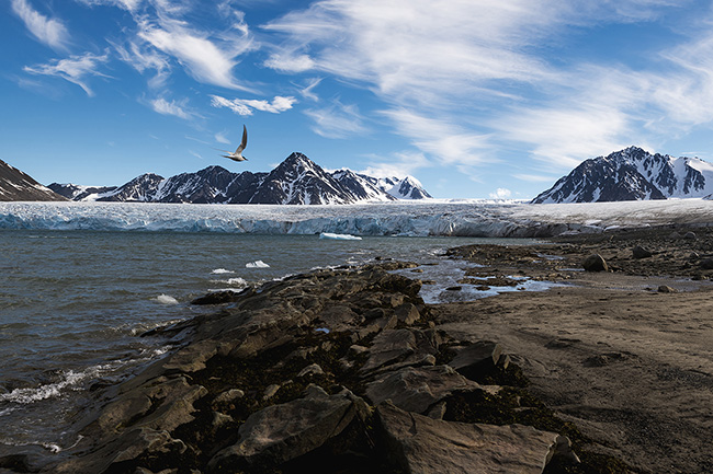 Svalbard - Arctic - 2024