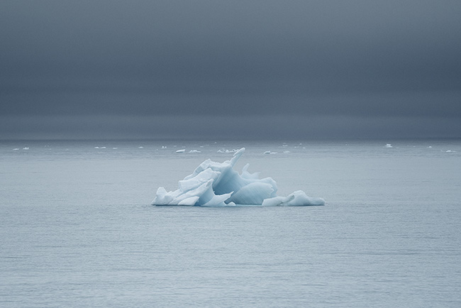 Svalbard - Arctic - 2024