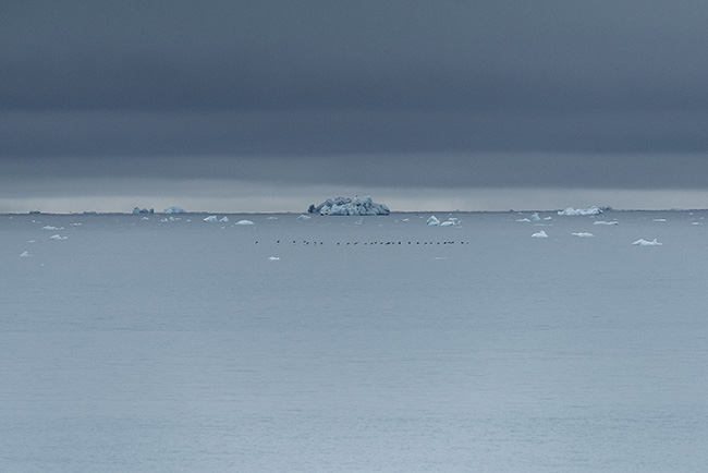 Svalbard - Arctic - 2024