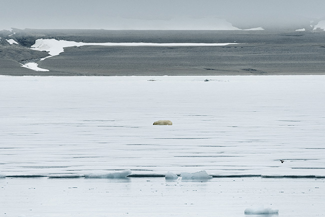 Svalbard - Arctic - 2024