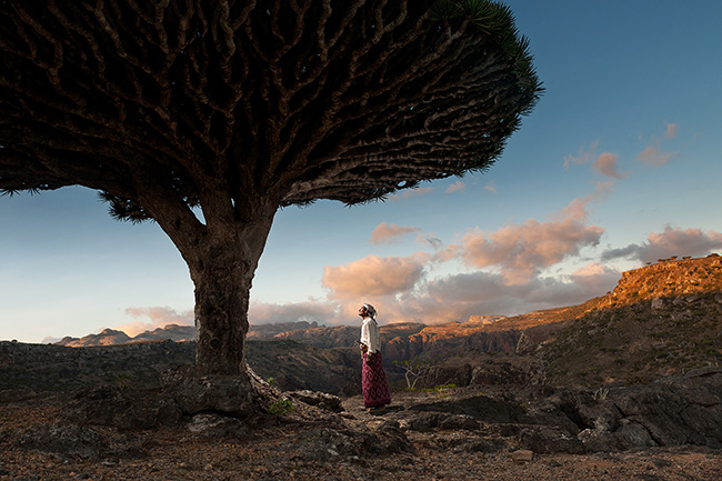 Travel Guillaume Petermann