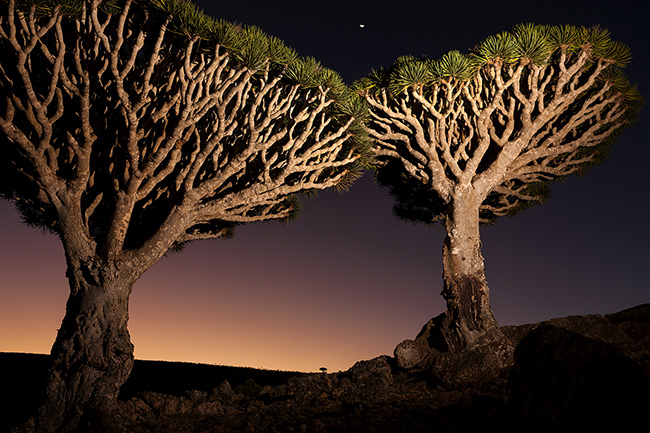 Travel Guillaume Petermann
