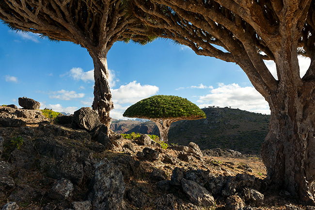 Travel Guillaume Petermann