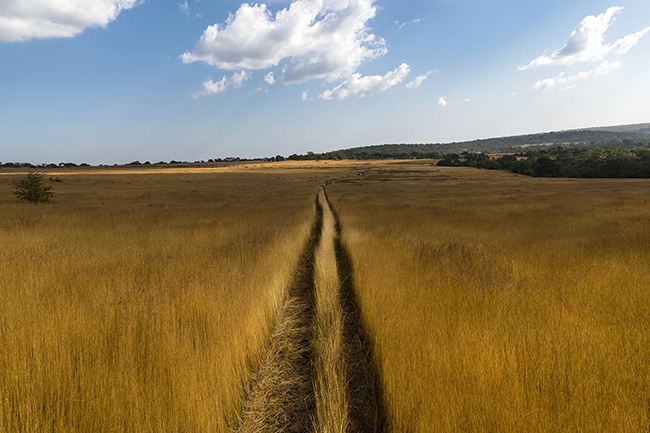 Travel Guillaume Petermann