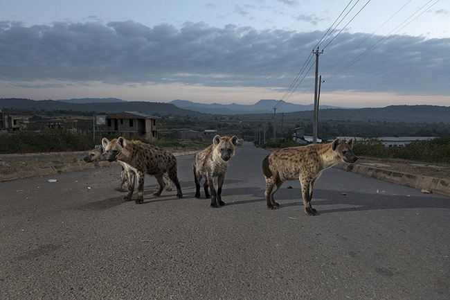 Travel Guillaume Petermann