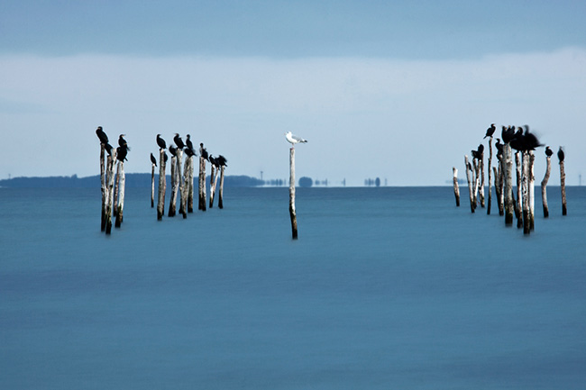 Travel Guillaume Petermann