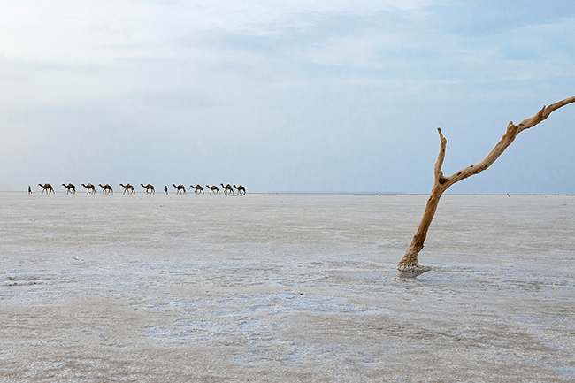 Travel Guillaume Petermann