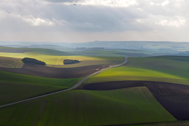 Travel Guillaume Petermann